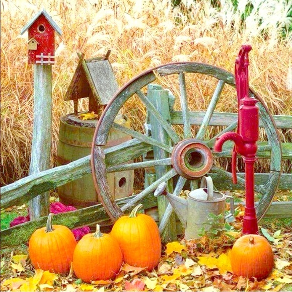 All items sold beyond this point ....... - Picture 2 of 3